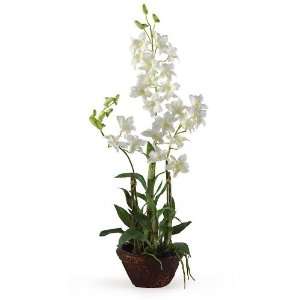   Dendrobium w/Decorative Vase Silk Flower Arrangement