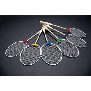    Pick A Paddle Indestructible Badminton Racquet