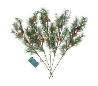 Bethlehem Lights Battery Operated Indoor/Outdoor 36 Pine Branches 