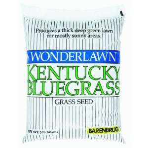   USA 50203 Kentucky Bluegrass Grass Seed Patio, Lawn & Garden