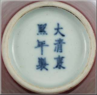 Antique Chinese Peachbloom Glaze Vase w/ Kangxi Marks  