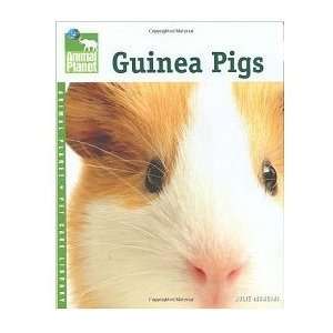  Guinea Pigs (Quantity of 3)
