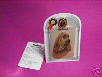 Bloodhound Collector Card/Lapel Pin Gift Set  