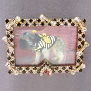  Dog or Cat House & Bone Picture Frame  Finish FINE SILVER 