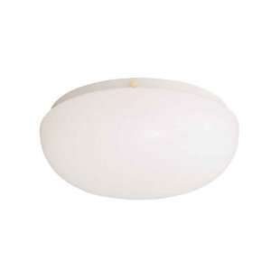   Fluorescent Flush Mount Ceiling Light, White