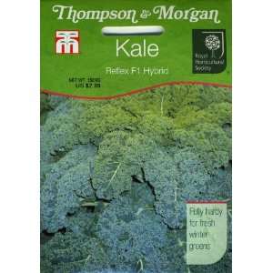  Thompson & Morgan 902 RHS Kale Reflex Seed Packet Patio 
