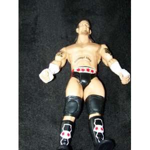  WWE CM Punk Action Figure 2004 