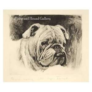  English Bulldog Art Engraving by Meyer Eberhardt
