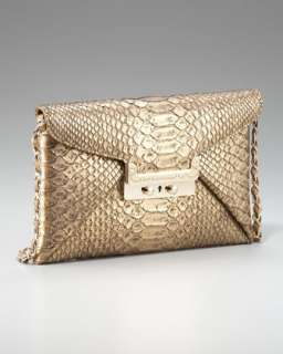 Metallic Flap Clutch  