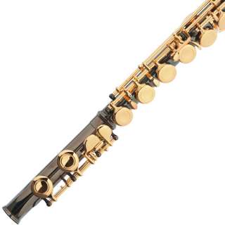 Cecilio 2Series FE 280BNG Black Nickel Plated C FLUTE  