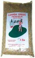 lb CANADA GREEN Grass Seed  