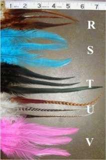 grizzly and assorted feather hair extensions, 3 beads  