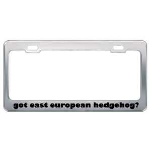 Got East European Hedgehog? Animals Pets Metal License Plate Frame 
