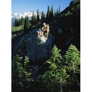  Two Hikers Rest on a Rock Amid Evergreen Trees Stretched 