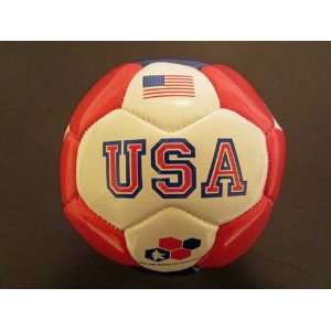  USA 2010 FIFA World Cup Size 2 Mini Pure Roar Soccer Ball 