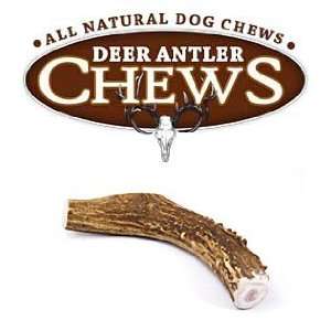    Deer Antler Dog Chew   Large Whole Deer Antler
