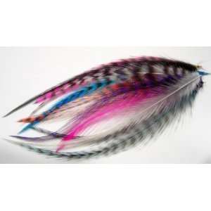 Sexy Sparkles 10 Grizzly and Solid Genuine Feathers Ranging From 4 to 