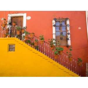  Colorful Stairs and House with Potted Plants, Guanajuato 
