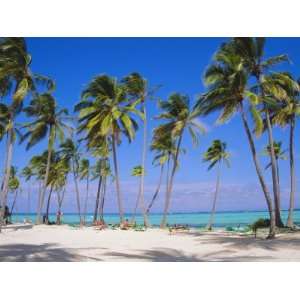  Dominican Republic, Punta Cana, West Indies Premium 