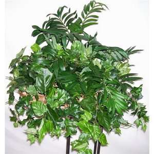Mixed Palm, English Ivy and Philodendron Shelf Plant  