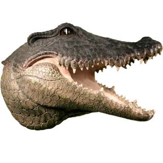 WALL MOUNTED crocodile croc skull alligator GATOR HEAD hanging display 