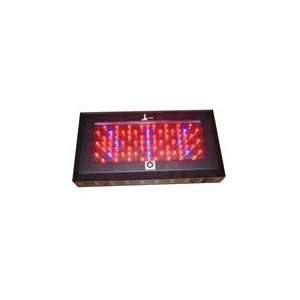   LIGHTHOUSE 240W Blackstar UV LED Grow Light 3w LEDs