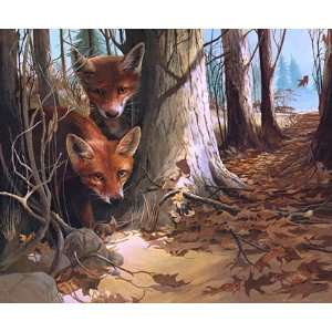  Mario Fernandez   Curious Pair   Foxes