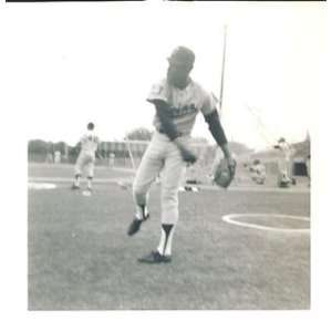  Rod Carew Vintage 3.5x3.5 Minn Twins Snapshot Photo   MLB 