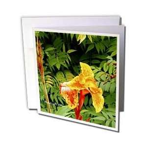   Sunshine Yellow   Photography Flowers   Greeting Cards 12 Greeting
