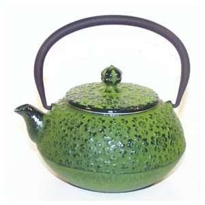  Tetsubin Spring Green Iron Teapot 22oz