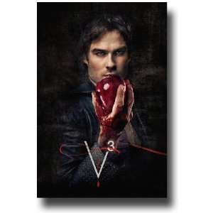  Vampire Diaries Poster   TV Show Promo Flyer   11 X 17   3rd Season 